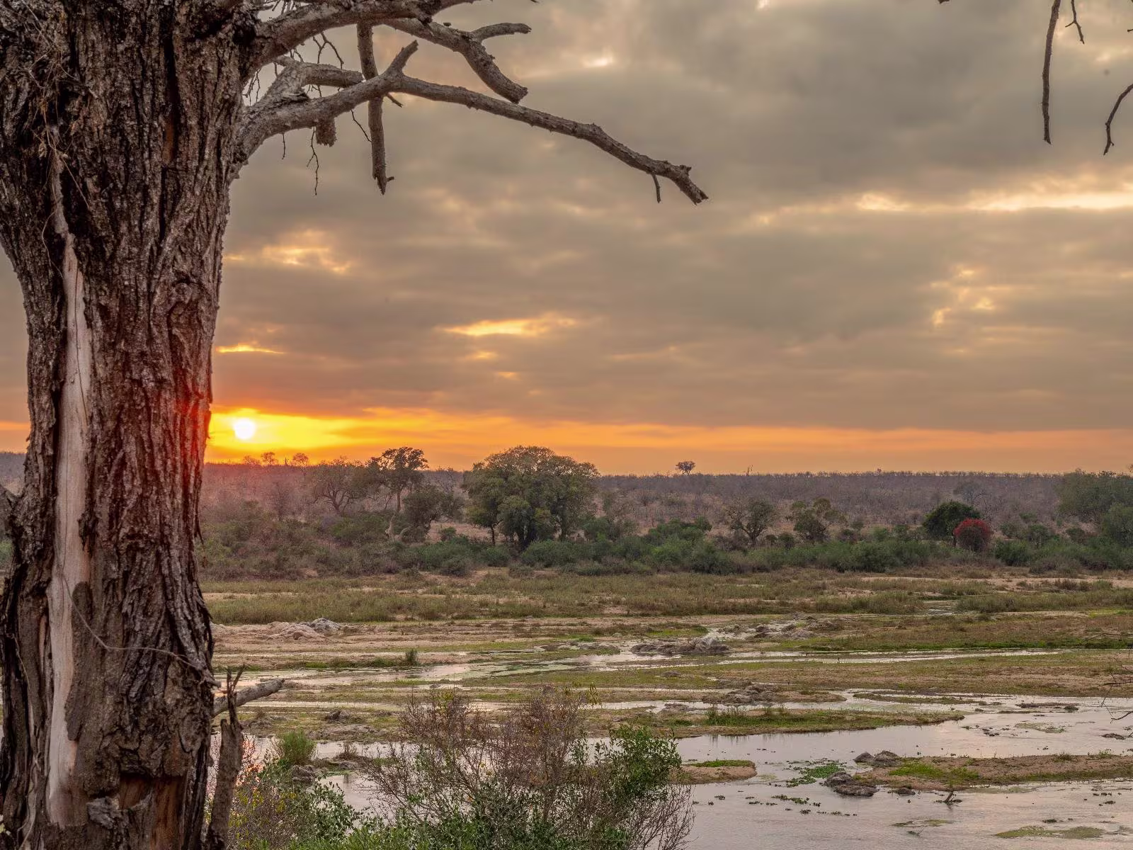 Marloth Park