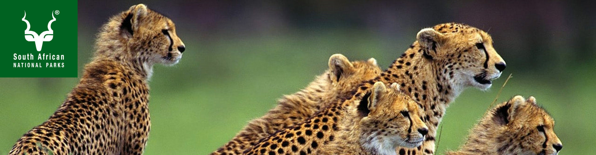 Sanparks