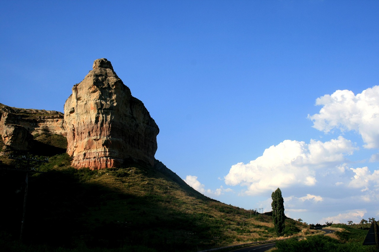 Blog image