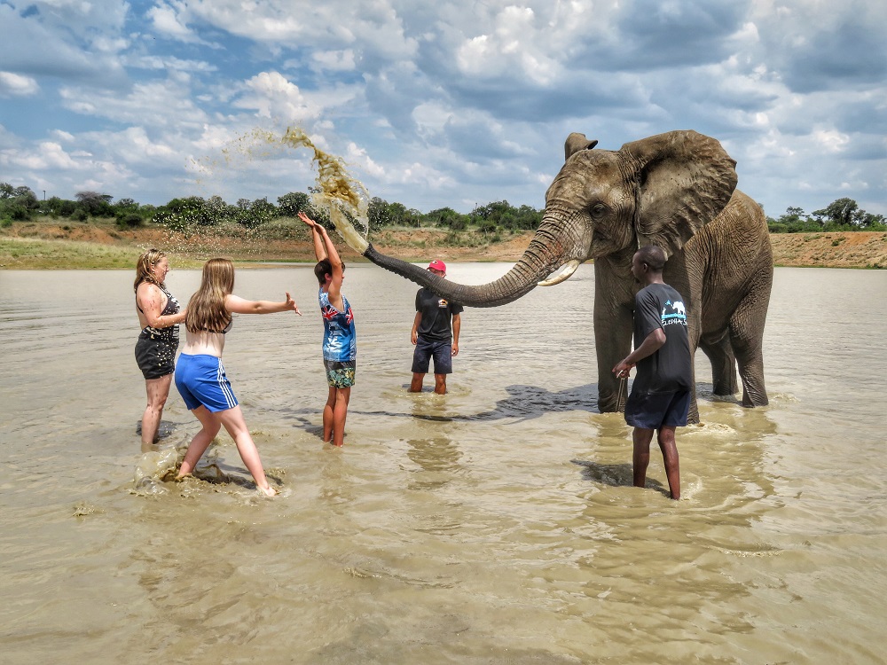 Adventures With Elephants