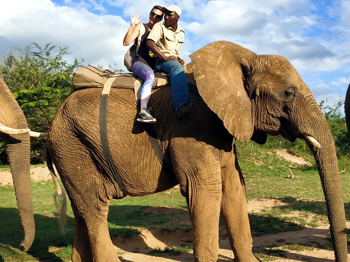 Hazyview Elephant Sanctuary
