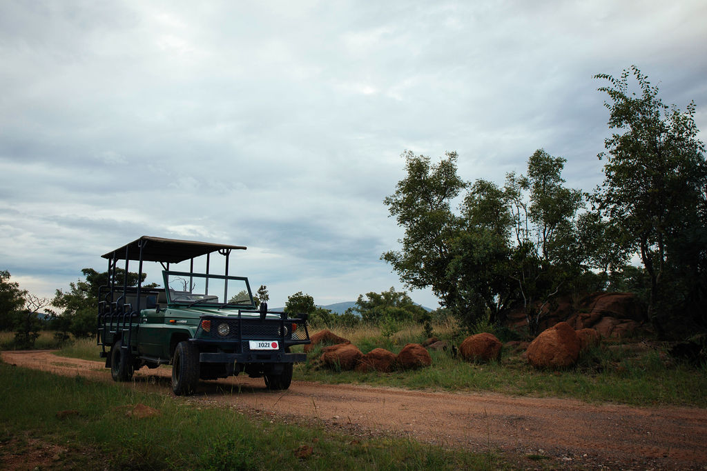 Game Drives in Bela Bela