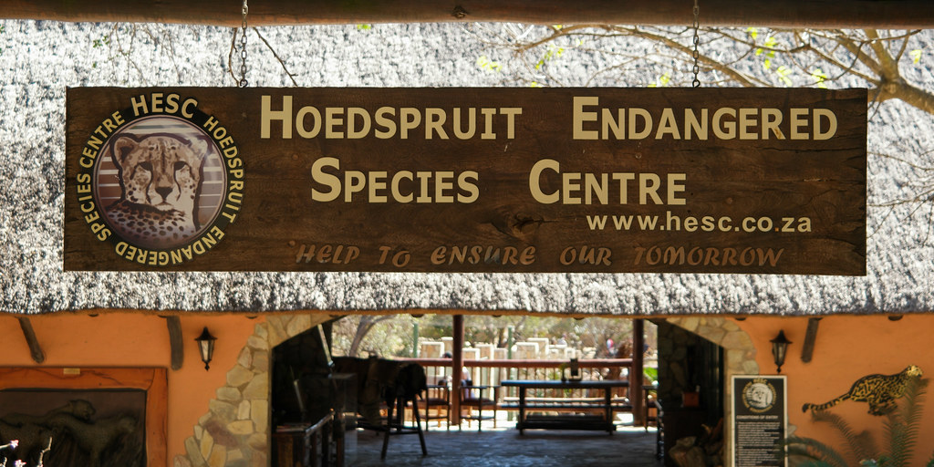 Hoedspruit Endangered Species Centre
