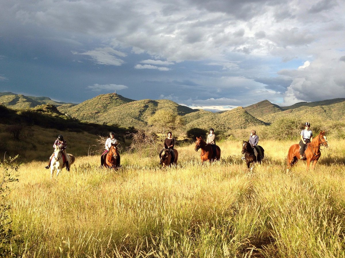 Horse Riding Clarens